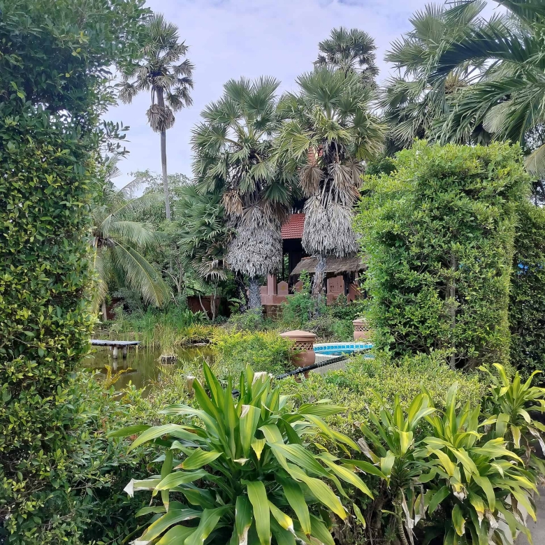 Remarkable Home Swimming Pool Thailand